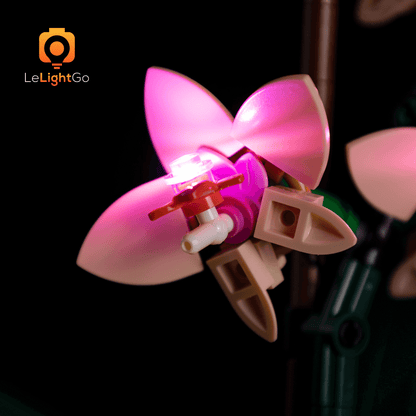 Light Kit For Mini Orchid 10343