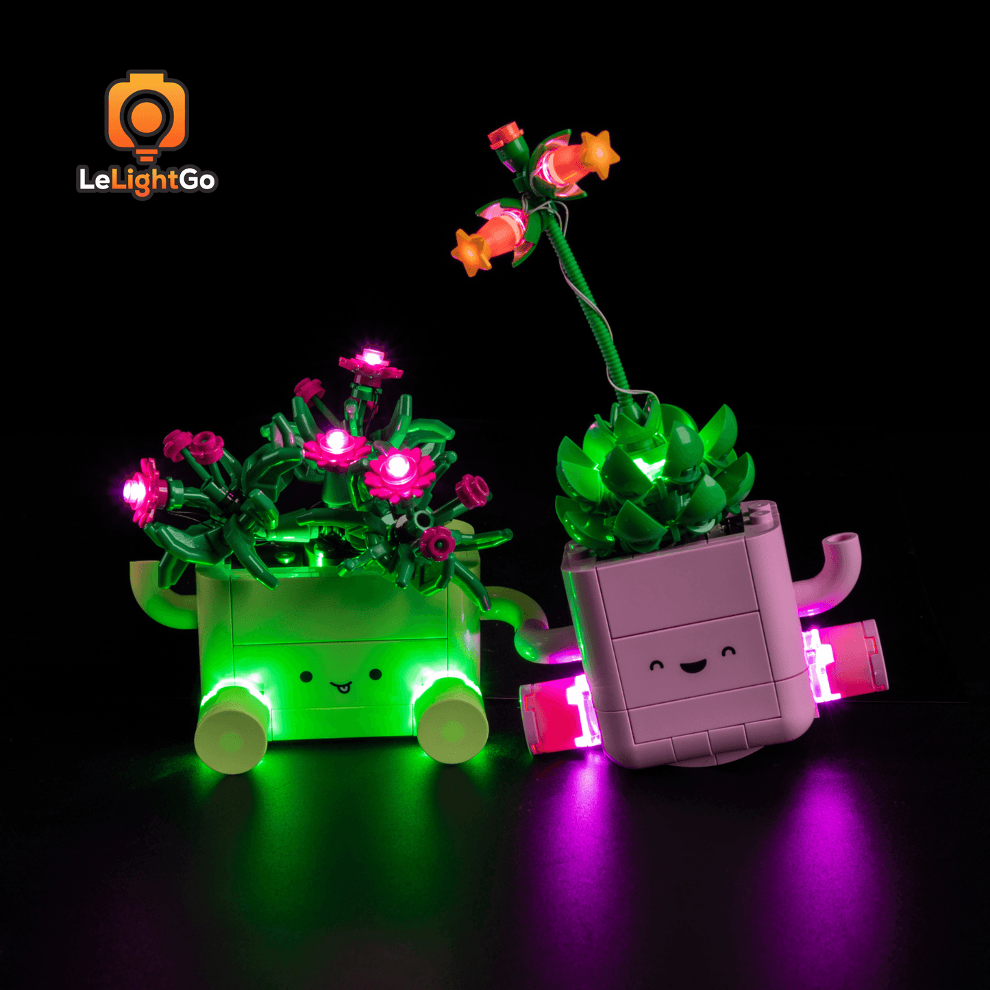Light Kit For Rocking Plants 11506