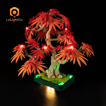 Light Kit For Japanese Red Maple Bonsai Tree 10348