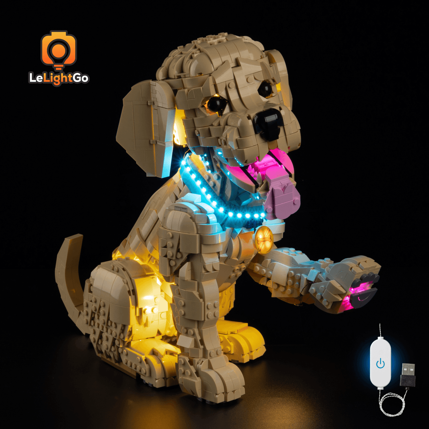 Light Kit For Golden Retriever Puppy 11384
