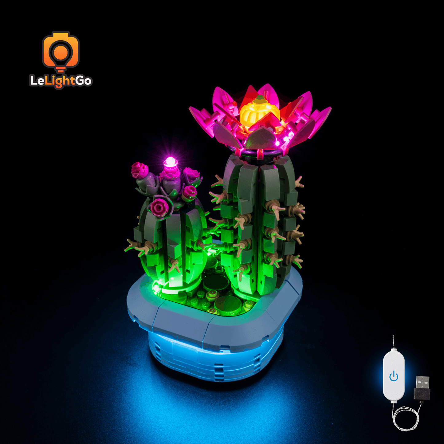 Light Kit For Flowering Cactus 11509