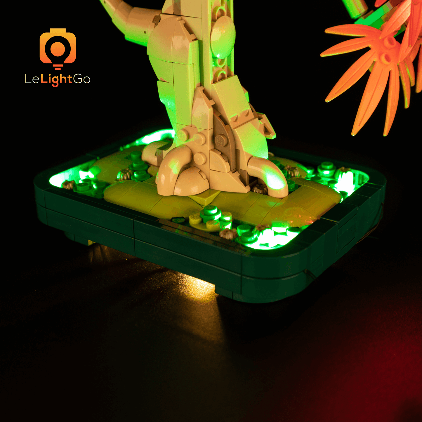 Light Kit For Japanese Red Maple Bonsai Tree 10348