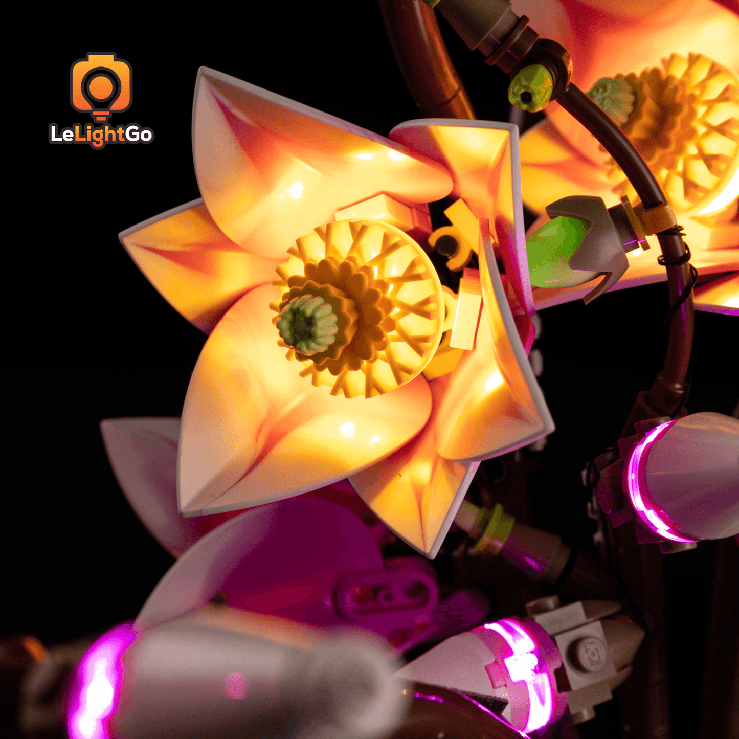 Light Kit For Magnolia Branches 11510