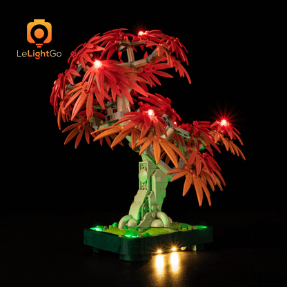 Light Kit For Japanese Red Maple Bonsai Tree 10348