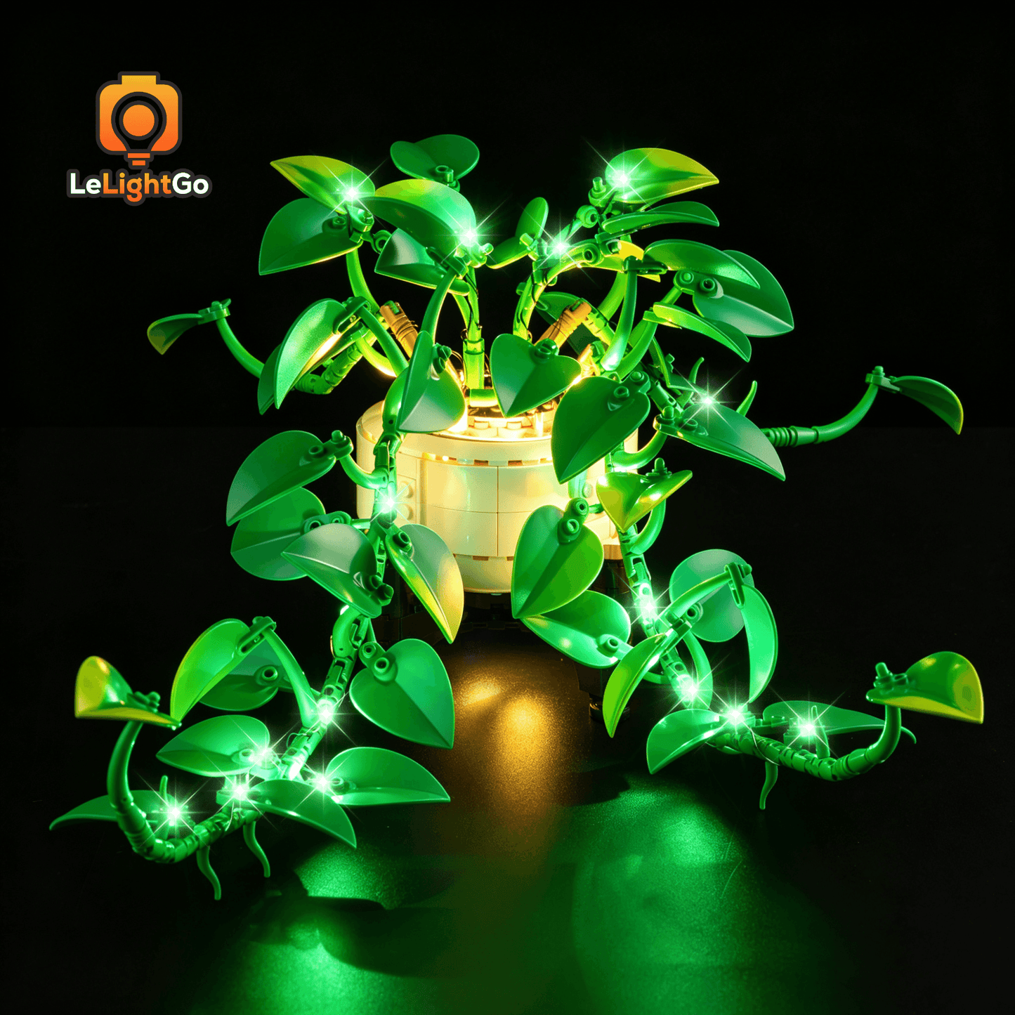 Light Kit For Hanging Golden Pothos 11512