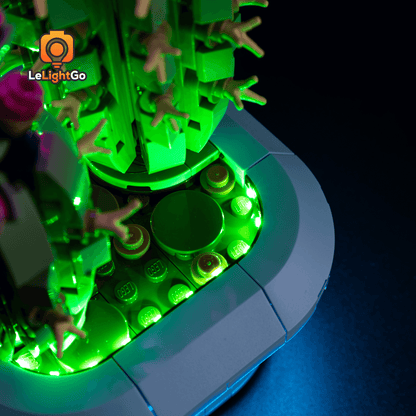 Light Kit For Flowering Cactus 11509