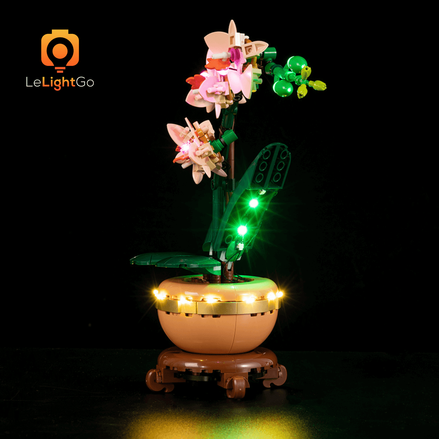 Light Kit For Mini Orchid 10343