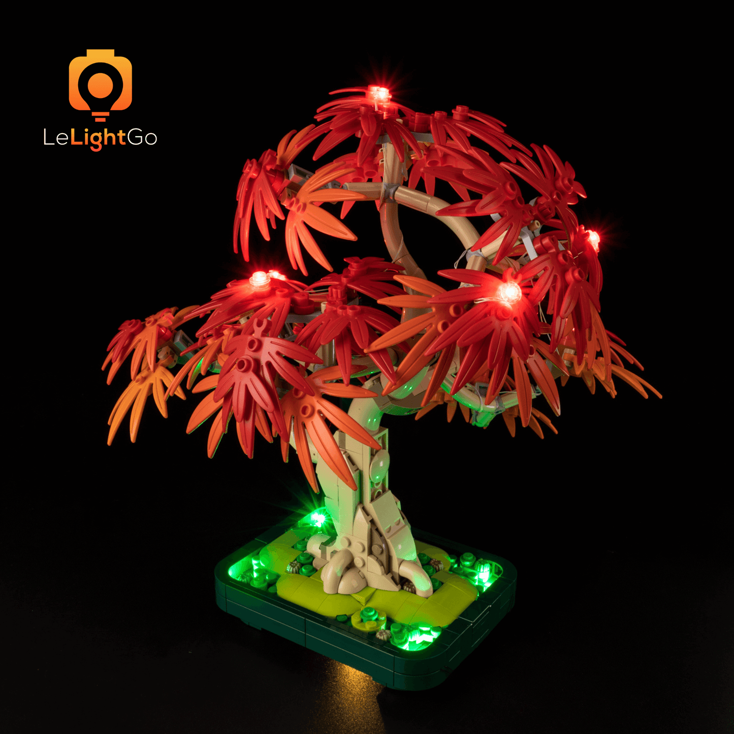 Light Kit For Japanese Red Maple Bonsai Tree 10348