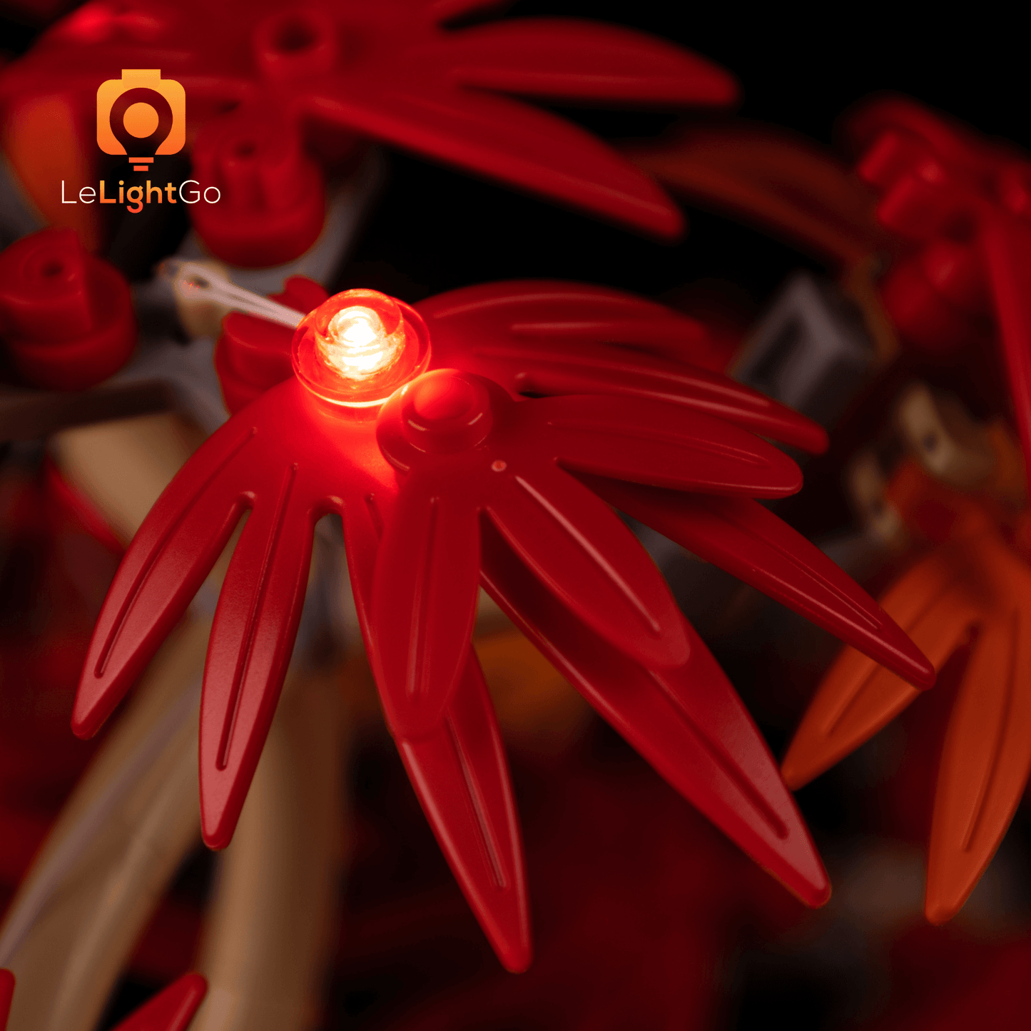 Light Kit For Japanese Red Maple Bonsai Tree 10348