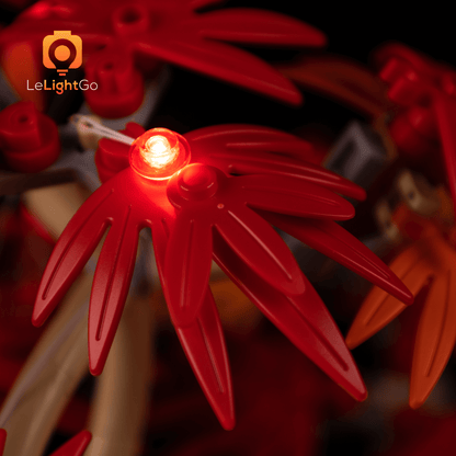 Light Kit For Japanese Red Maple Bonsai Tree 10348