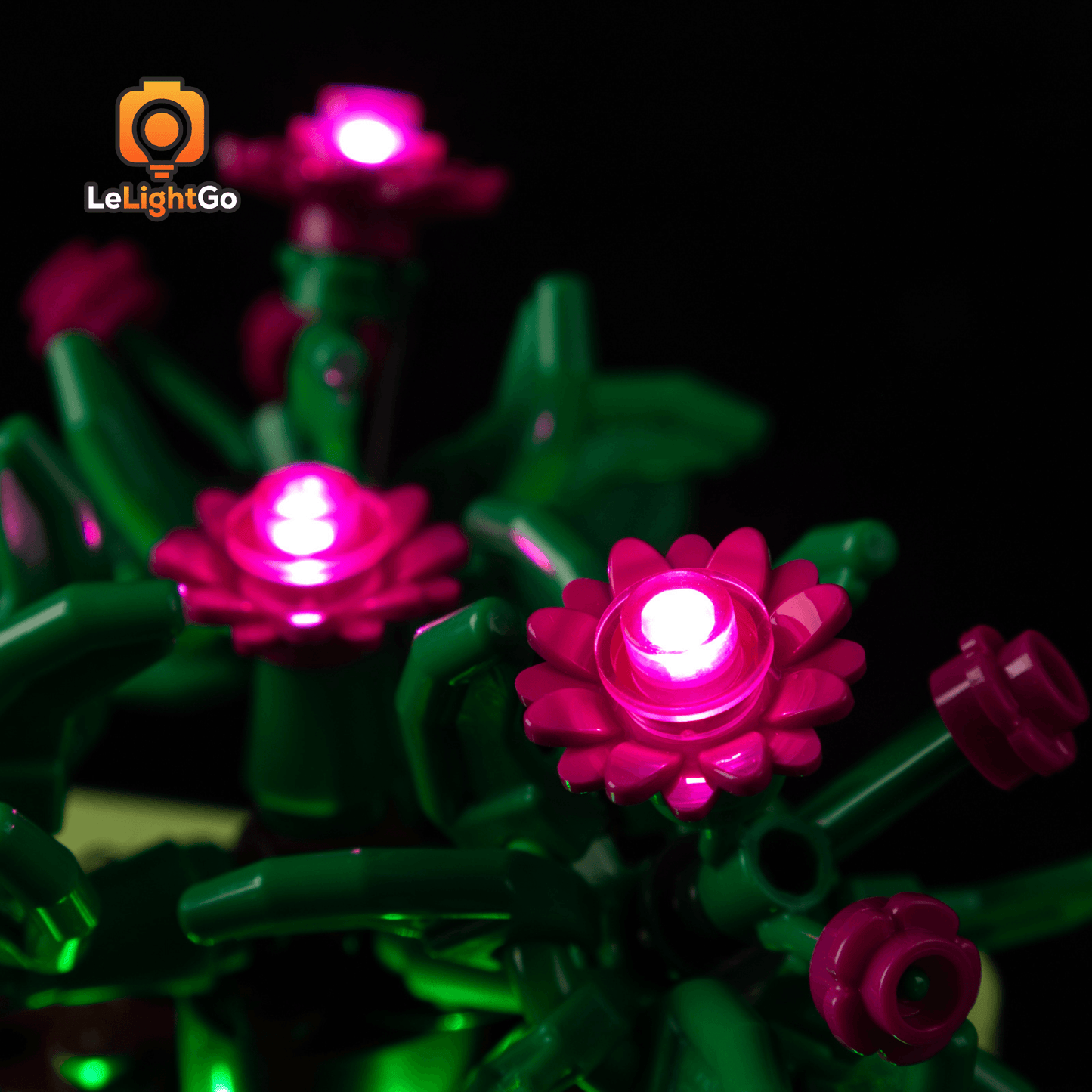 Light Kit For Rocking Plants 11506