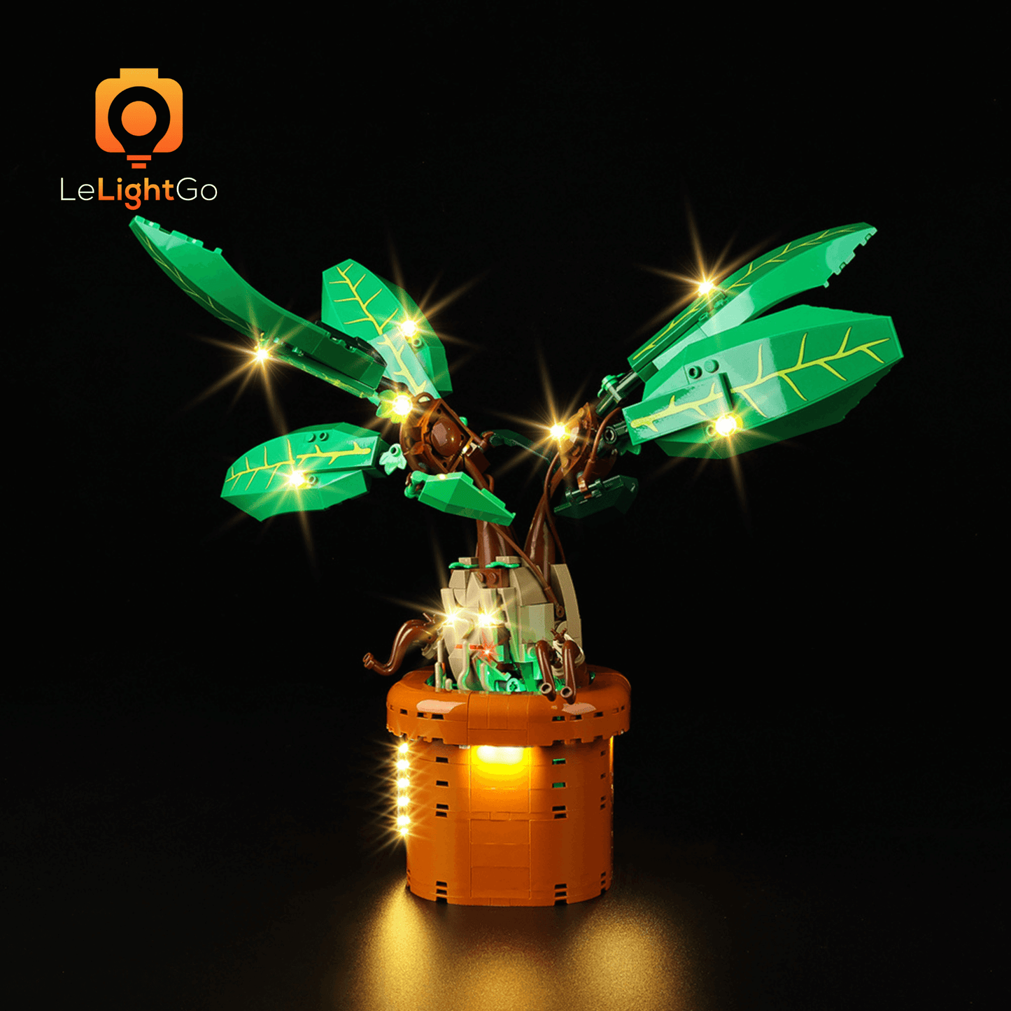 Light Kit For Mandrake 76433