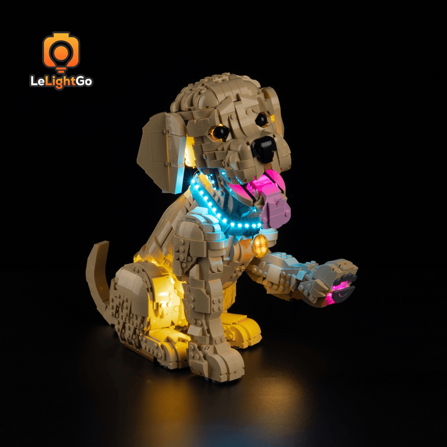Light Kit For Golden Retriever Puppy 11384