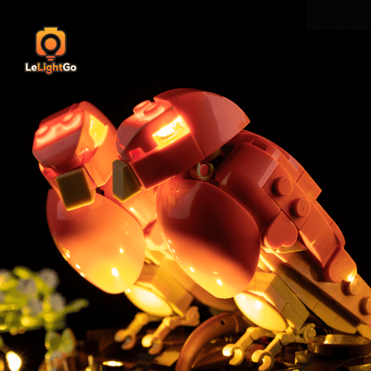 Light Kit For Love Birds 21365