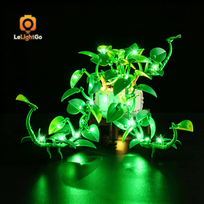 Light Kit For Hanging Golden Pothos 11512