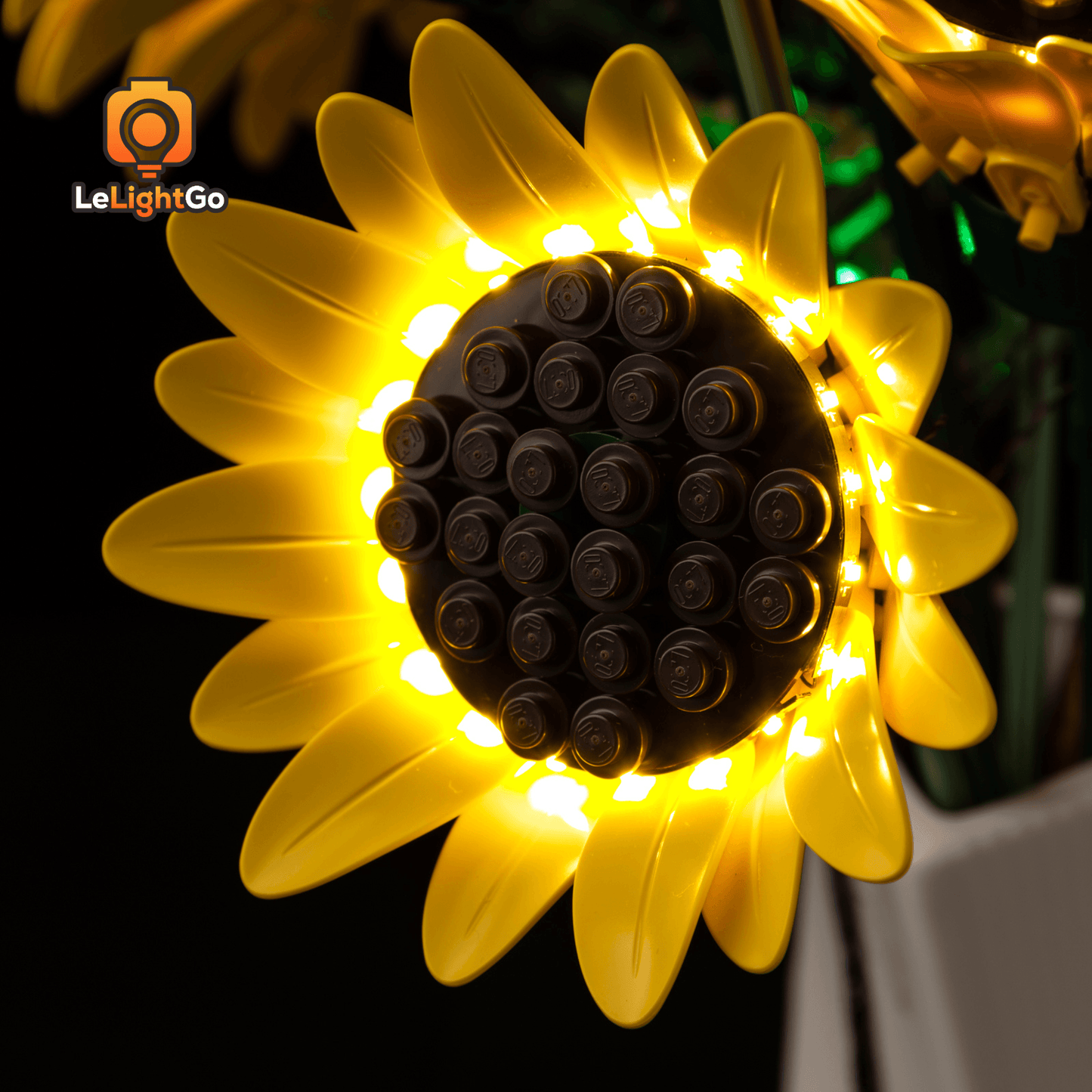 Light Kit For Sunflower Bouquet 11502