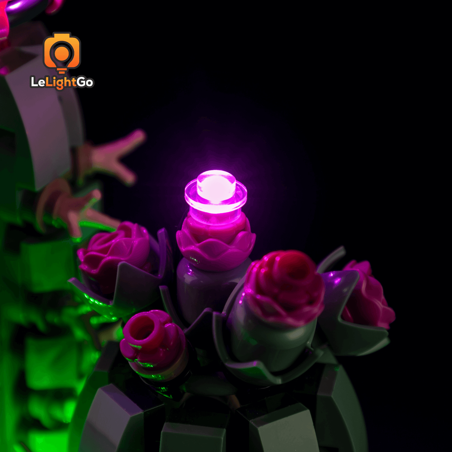 Light Kit For Flowering Cactus 11509