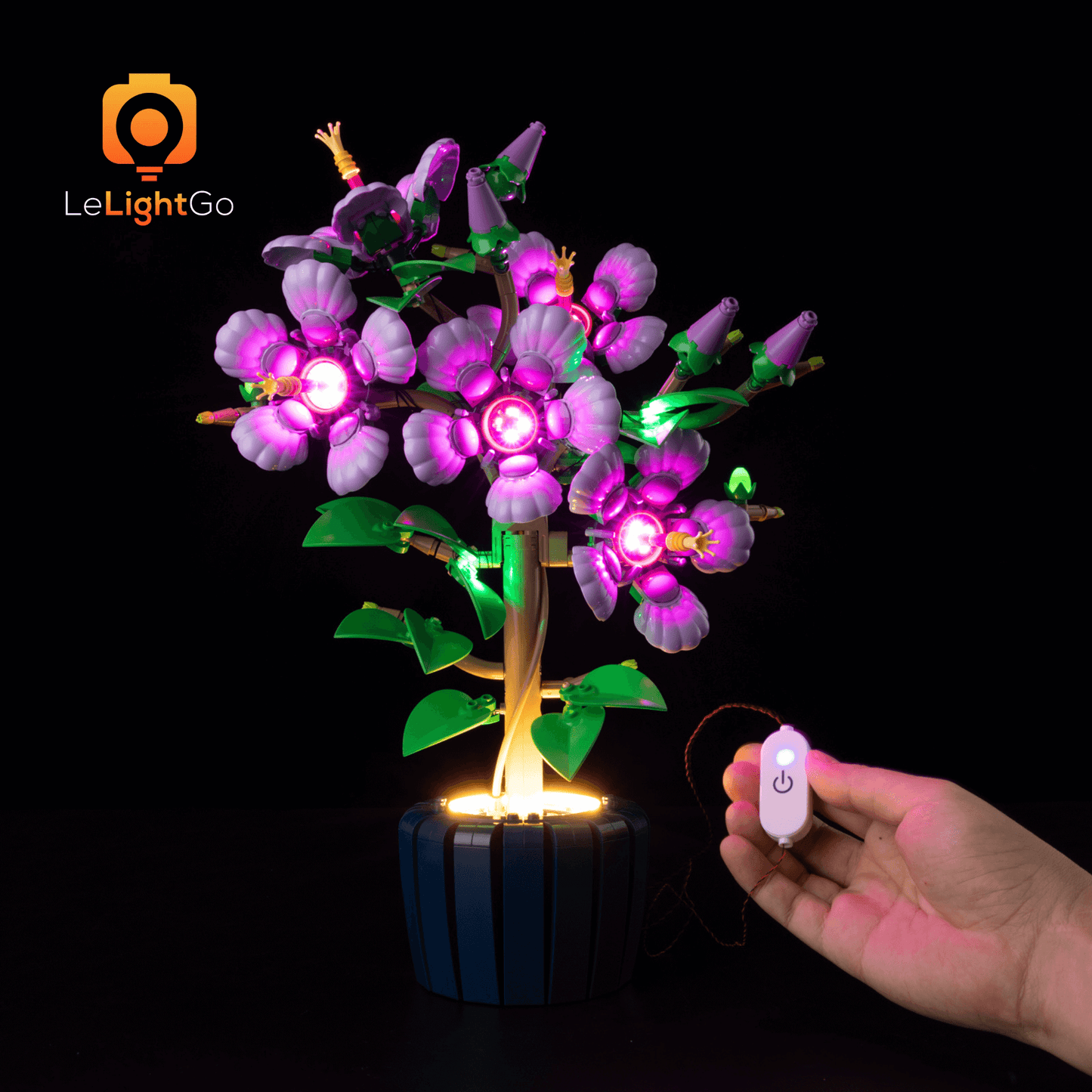 Light Kit For Hibiscus 10372