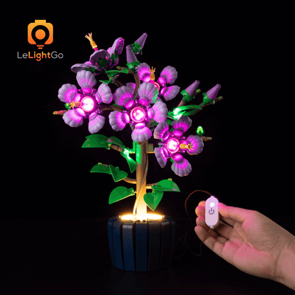 Light Kit For Hibiscus 10372