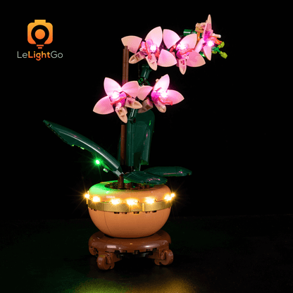 Light Kit For Mini Orchid 10343