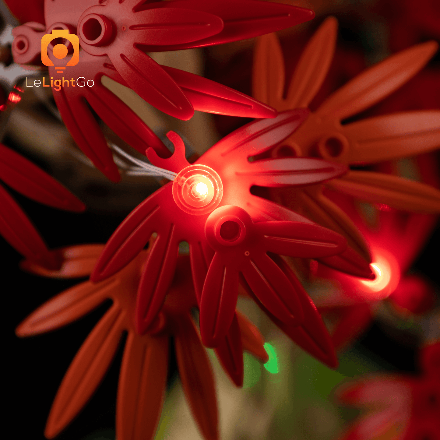 Light Kit For Japanese Red Maple Bonsai Tree 10348