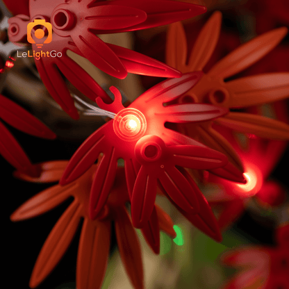 Light Kit For Japanese Red Maple Bonsai Tree 10348