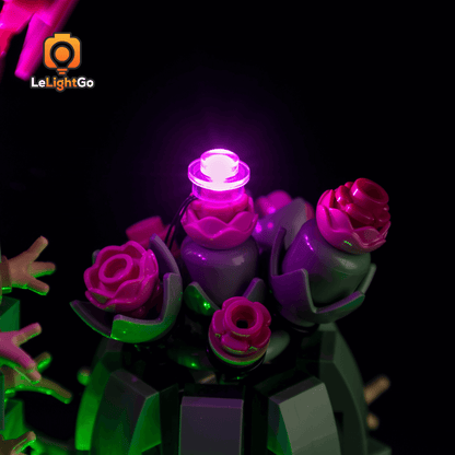 Light Kit For Flowering Cactus 11509