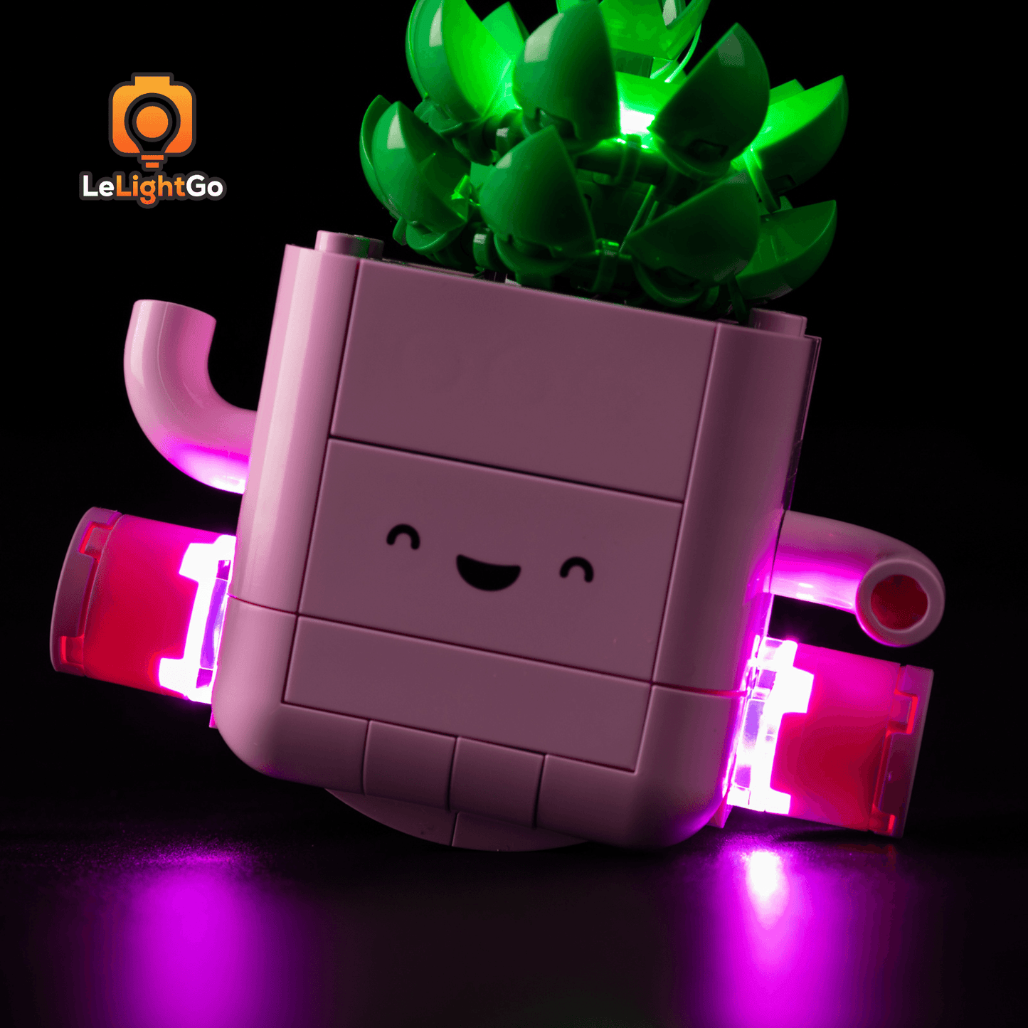 Light Kit For Rocking Plants 11506