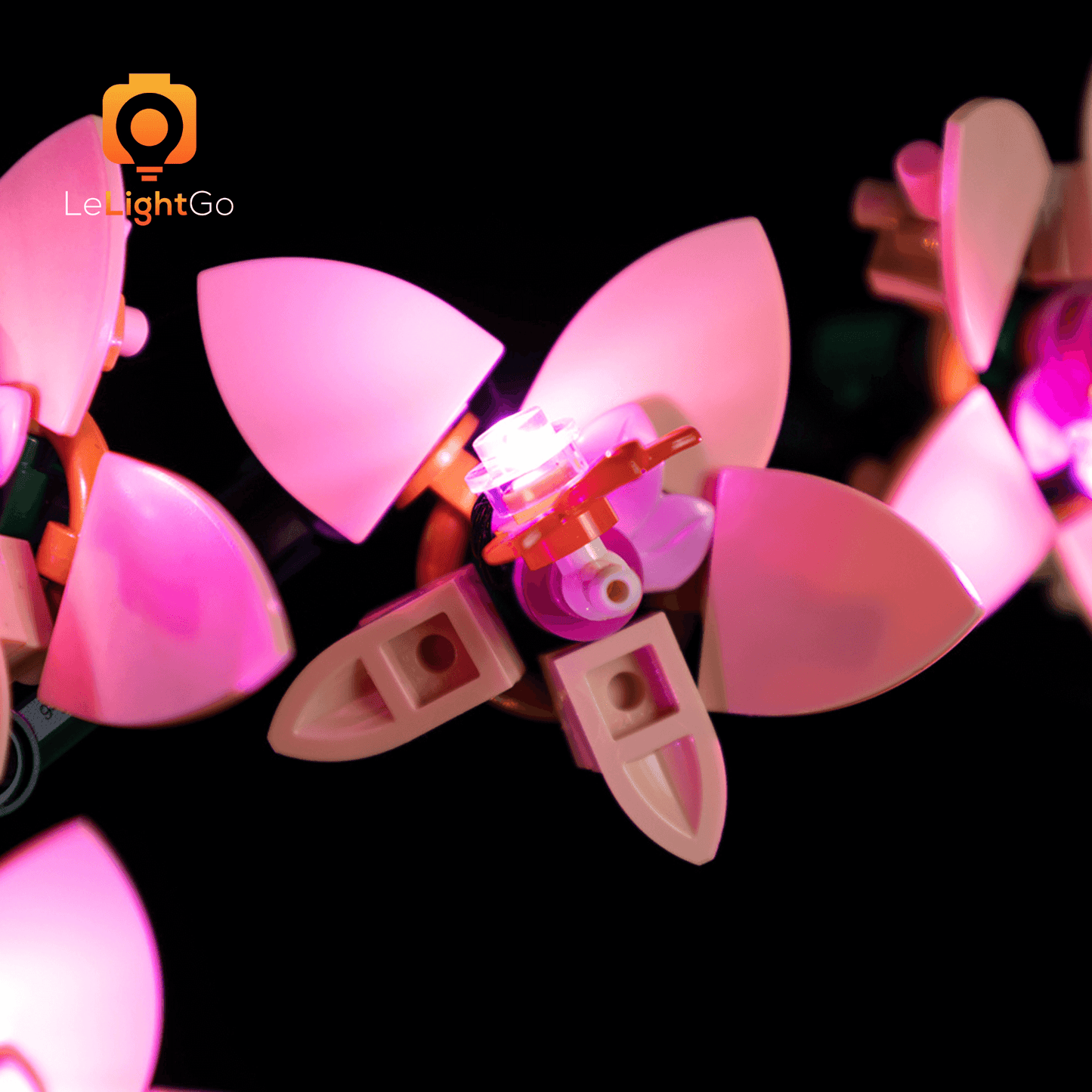 Light Kit For Mini Orchid 10343