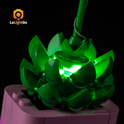 Light Kit For Rocking Plants 11506