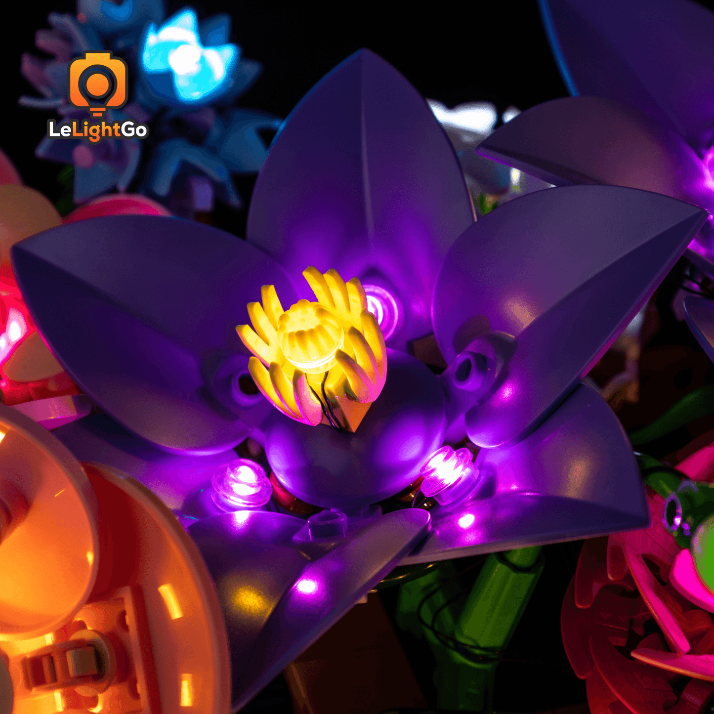 Light Kit For Flower Wall 11503