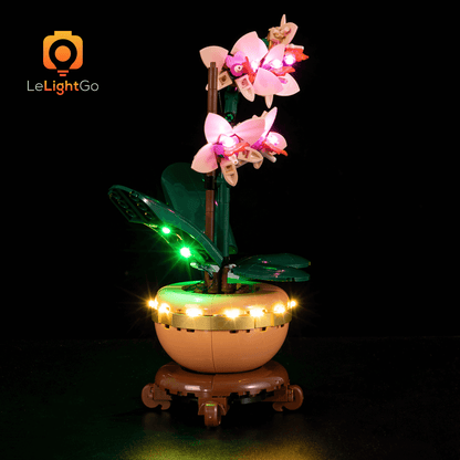 Light Kit For Mini Orchid 10343