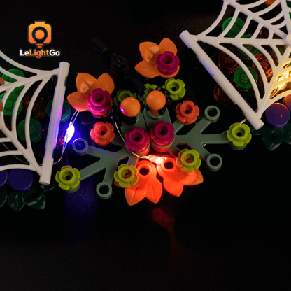 Light Kit For Halloween Wreath 40825