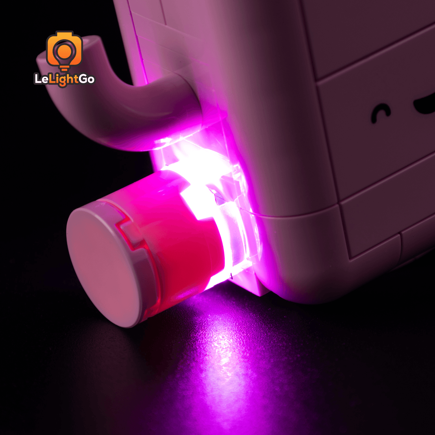 Light Kit For Rocking Plants 11506