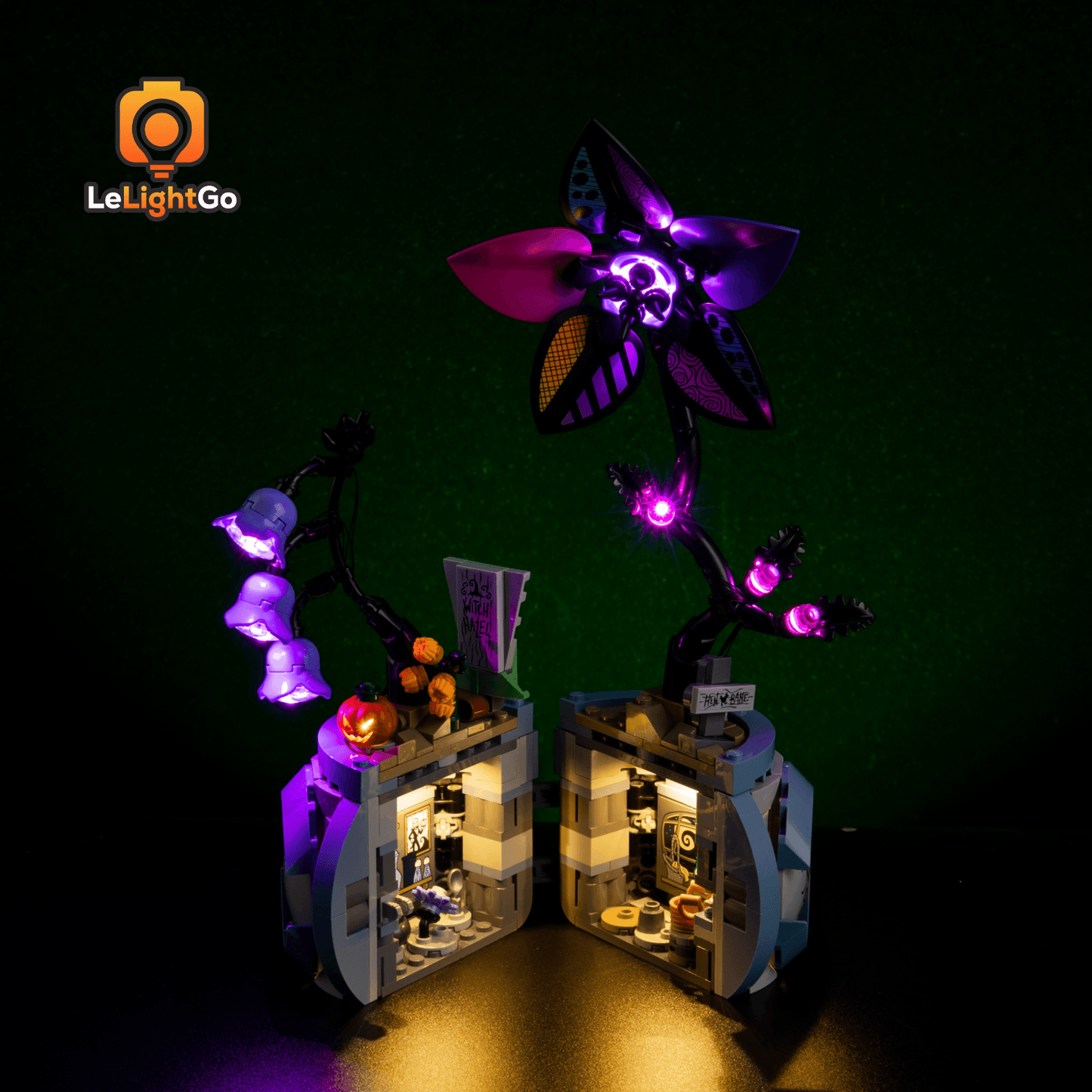 Light Kit For Sally's Flowerpot 43288