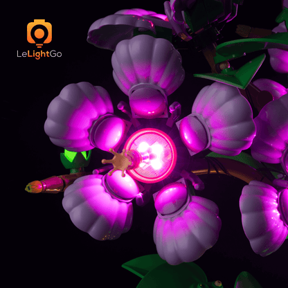 Light Kit For Hibiscus 10372