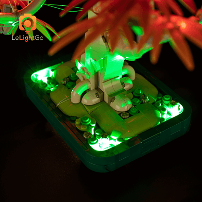 Light Kit For Japanese Red Maple Bonsai Tree 10348