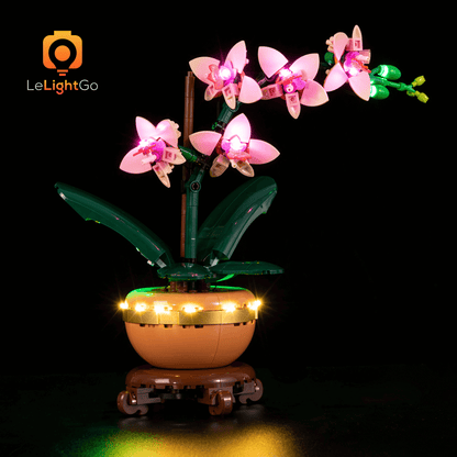 Light Kit For Mini Orchid 10343