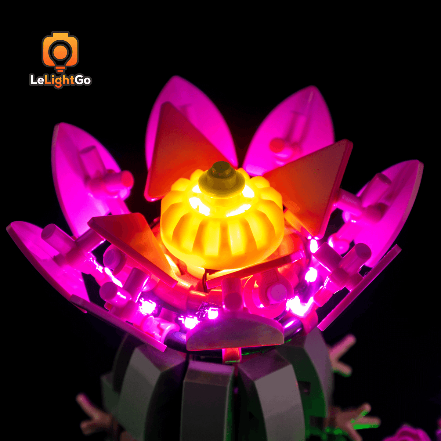 Light Kit For Flowering Cactus 11509