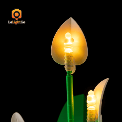 Light Kit For Peace Lily 11504