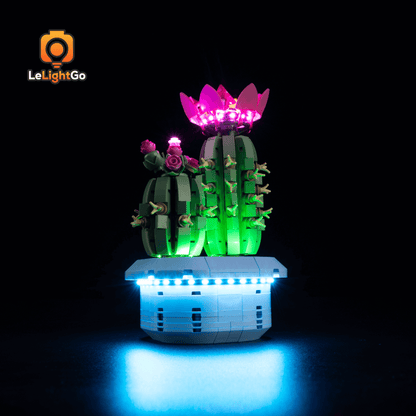 Light Kit For Flowering Cactus 11509