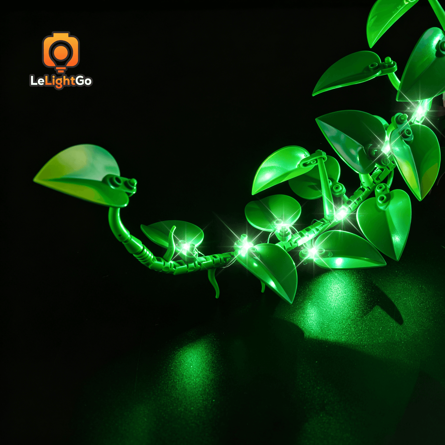 Light Kit For Hanging Golden Pothos 11512