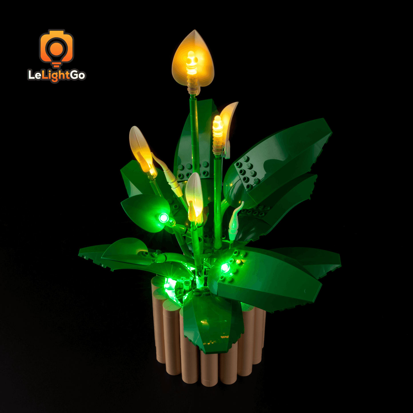 Light Kit For Peace Lily 11504