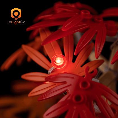 Light Kit For Japanese Red Maple Bonsai Tree 10348