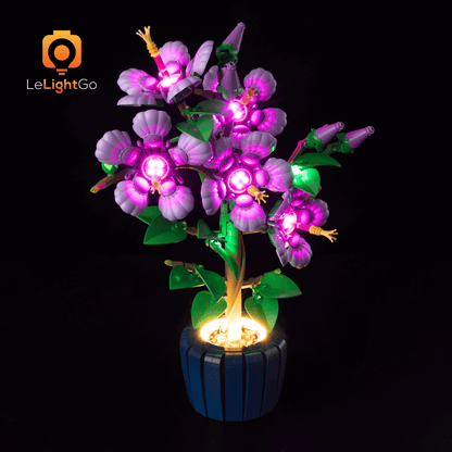 Light Kit For Hibiscus 10372