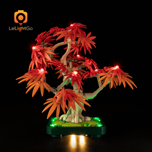Light Kit For Japanese Red Maple Bonsai Tree 10348