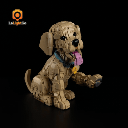 Light Kit For Golden Retriever Puppy 11384