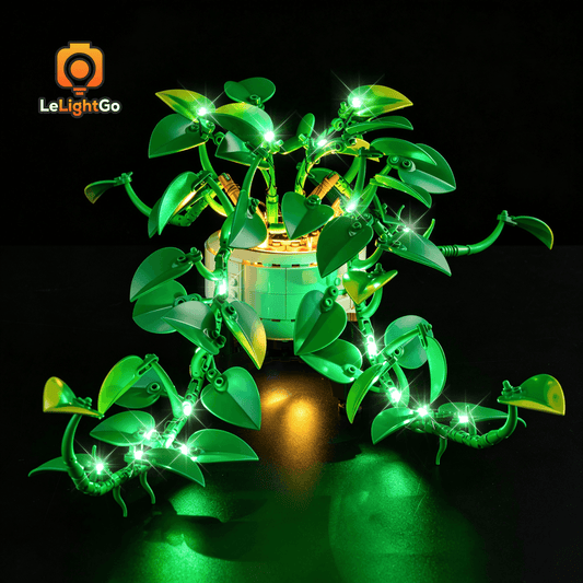 Light Kit For Hanging Golden Pothos 11512