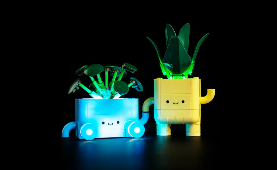 Mojave desert in the dark