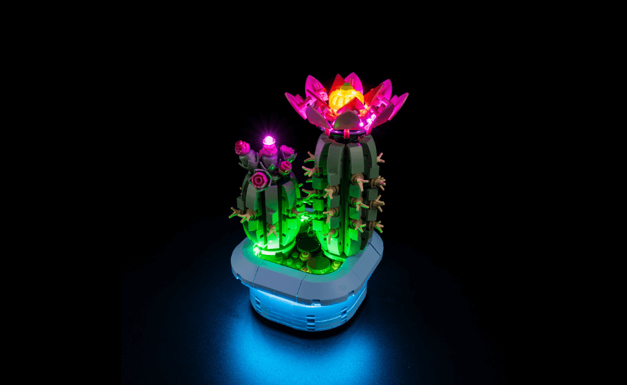 Mojave desert in the dark